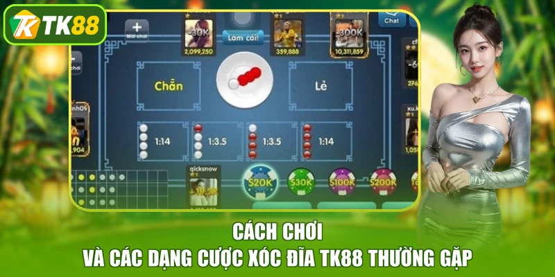 Cách chơi và các dạng cược xóc đĩa TK88 thường gặp