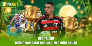 Kèo Tài Xỉu | Hướng Dẫn Cách Đọc Và 3 Mẹo Chơi Chuẩn