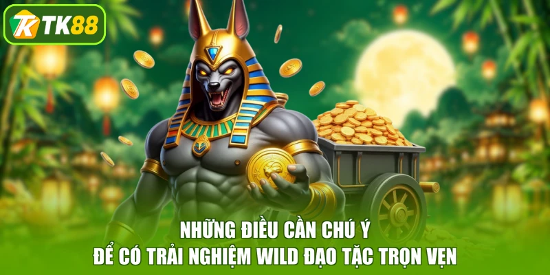Những điều cần chú ý để có trải nghiệm Wild Đạo Tặc trọn vẹn